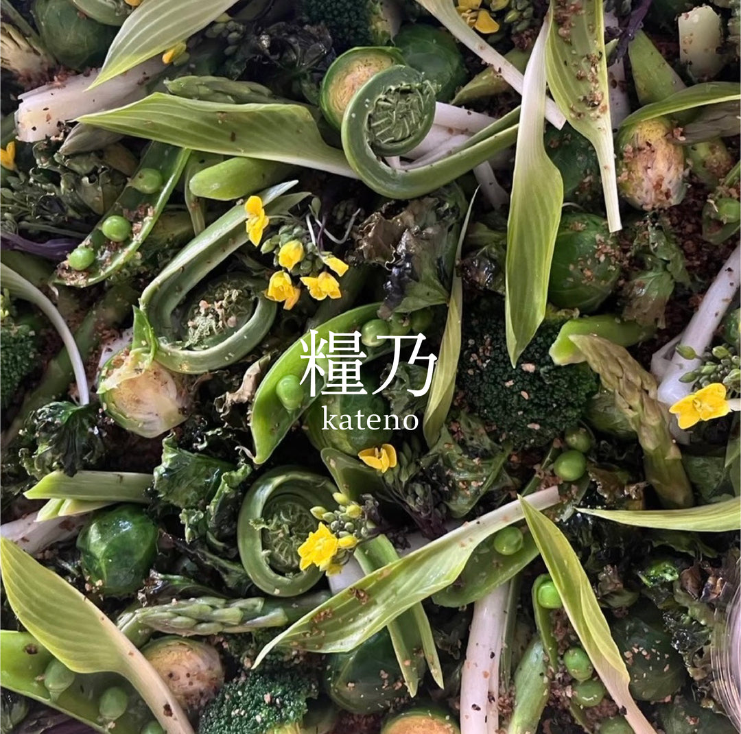 KATENO(糧乃)｜季節のお料理セット［8月17日(月)お届け］